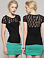  Women's Lace Round Collar Short Sleeve Top