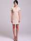  TS Heart-shaped Lace Sheath Dress