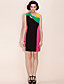  TS Color Block Slimming Sheath Dress
