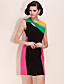  TS Color Block Slimming Sheath Dress