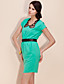  TS Leather Collar Belted Dress (More Colors)