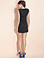  TS Sleeveless Lace Sheath Dress