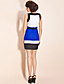  TS Tri-color Belted Dress