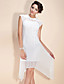 TS Irregular Hemmed Lace Dress