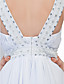  Sheath/ Column V-neck Watteau Train Chiffon Lace Evening Dress