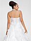  Ball Gown Halter Chapel Train Taffeta Plus Size Wedding Dress