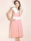  TS Vintage Sleeveless Lapel Swing Dress