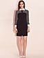  TS Checked Chiffon Long Sleeve Shirt Dress