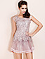  TS Beaded Net Tulle Dress