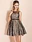  TS Sleeveless Lace Princess Belt Dress