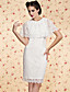  TS VINTAGE Shawl Lace Dress