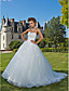  Ball Gown Sweetheart Chapel Train Organza Wedding Dress