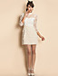 TS Puff Sleeve Lace Embroidery Layered Ruffle Dress