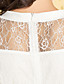  TS VINTAGE Perspective Lace Ruffle Hem Dress