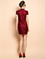  TS Plunging Neck Lace Chinese Bodycon Dress