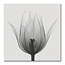 pintura a óleo handmade na lona - flor - 2 30 "x 30" (szh042) (começo de 20 unidades) frete grátis