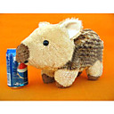Coreano shunshun cerdo
