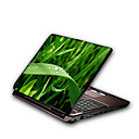 Laptop Notebook Cover Protective Skin Sticker(SMQ2378)