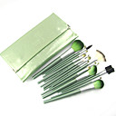 paard haar borstel set met groene lederen etui (18pcs)