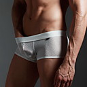 Men's Sexy Mesh Breathable Underpants