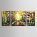 de hand geschilderde landschap olieverf met gestrekte frame - set van 3