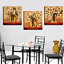 Stretched Canvas Print Still Life Set of 3 1301-0165