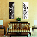 Stretched Canvas Print Botanical Set of 3 1301-0197