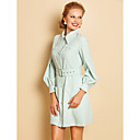 TS Lantern Sleeve Shirt Dress