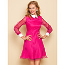 TS Contrast kraag Organza Jurk