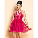 TS Sexy Lace Skater Dress