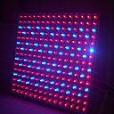 14W Square LED Grow Light with 225pcs for Hydroponic Plant