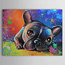 Hand Painted Oil Painting Animal 1304-AN0068