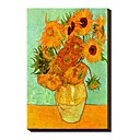 Sunflowers, c.1889 by Vincent Van Gogh Famous Stretched Canvas Print