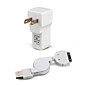 universale USB / AC / caricabatteria per auto adattatore apple iphone3g/iphone 4g (ci plug/100 ~ 240V)